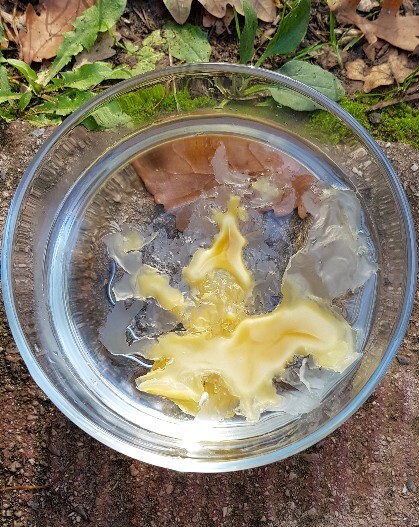 Auswertung einer Bienenwachsreinigung